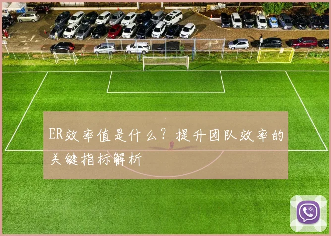 ER效率值是什么？提升团队效率的关键指标解析