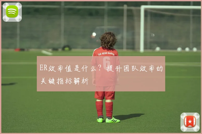 ER效率值是什么？提升团队效率的关键指标解析